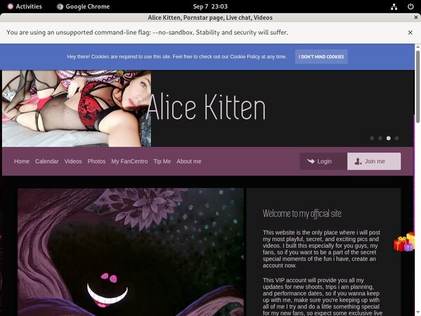 Alice Kitten Discount Promotion