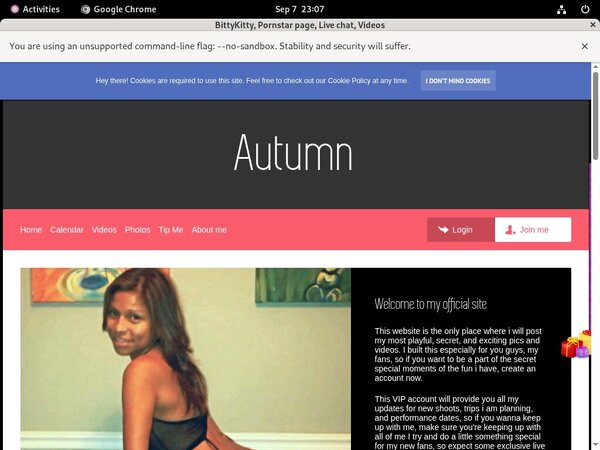 BittyKitty Buy Credits BittyKitty Buy Credits