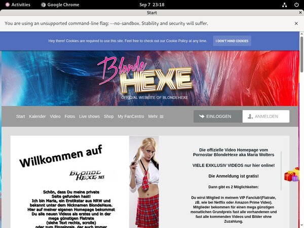 BlondeHexe Price