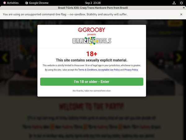 Brazil TGirls XXX Toilet Brazil TGirls XXX Toilet