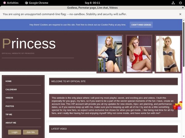 Cardboard.modelcentro.com Free Full Cardboard.modelcentro.com Free Full