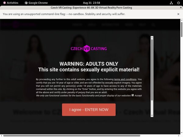Czech VR Casting Free Trial Acc