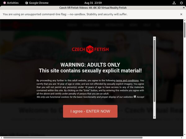Czechvrfetish.com Exit Discount