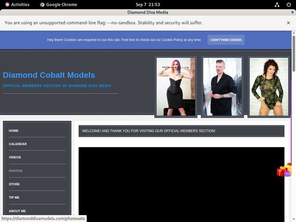DiamondDivaMedia Discount Link DiamondDivaMedia Discount Link