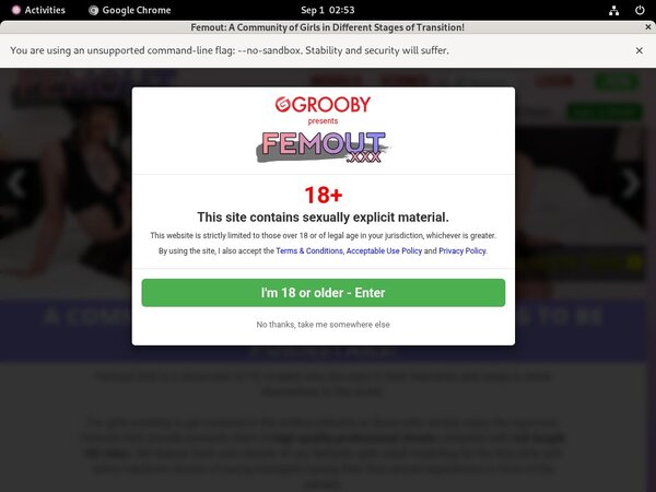 Discount Femout.xxx Account Discount Femout.xxx Account