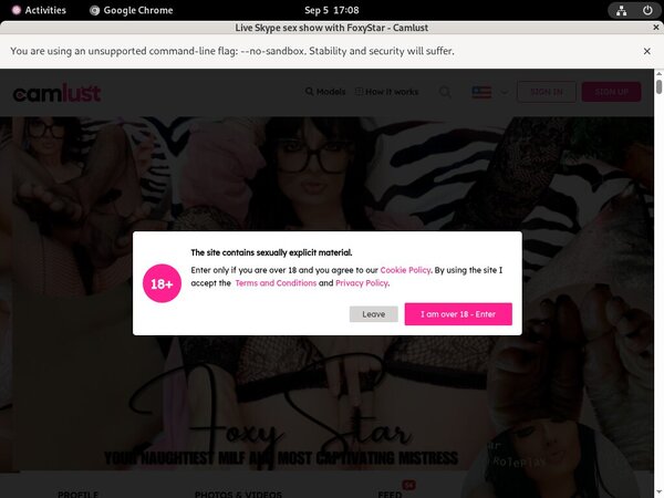 Foxy Star Full Discount Foxy Star Full Discount