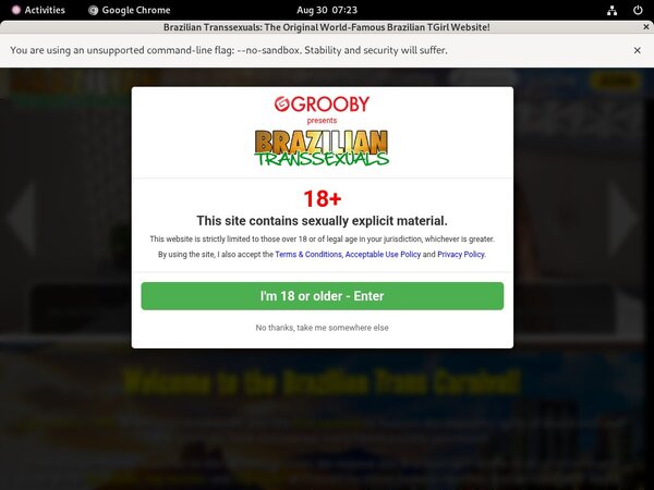 Free Brazilian Transsexuals Logins 2018 Free Brazilian Transsexuals Logins 2018