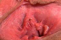 Gape My Pussy Acc s0 Gape My Pussy Acc s0