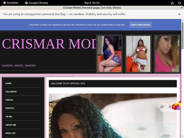 Get Into Crismar Model