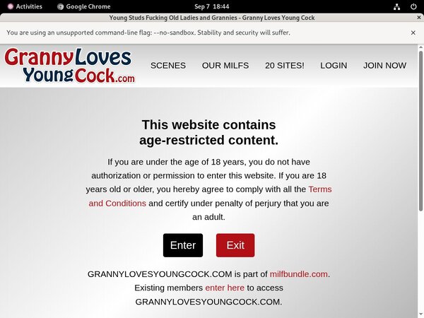 Grannylovesyoungcock Scene
