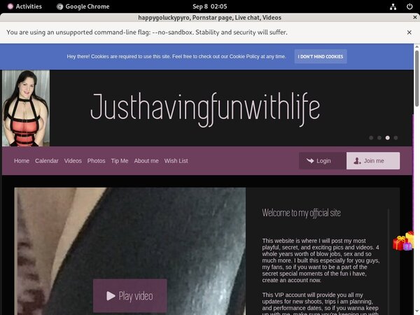 Happygoluckypyro Order Happygoluckypyro Order