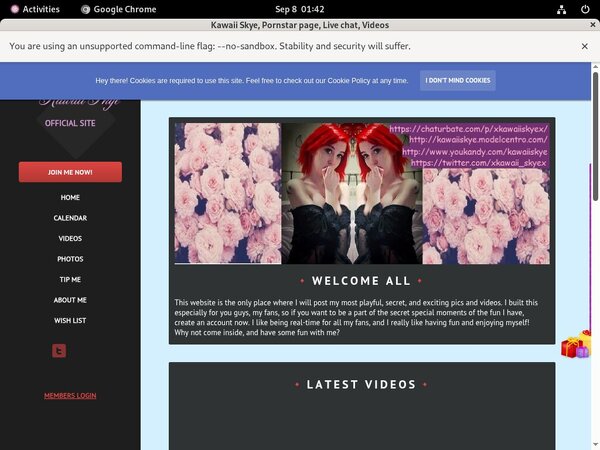 Kawaiiskye.modelcentro.com Member Access Kawaiiskye.modelcentro.com Member Access