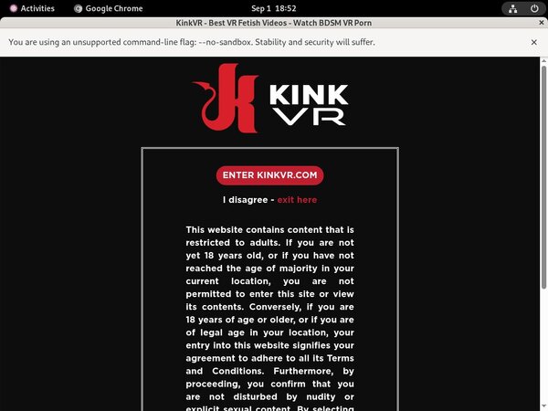 Kinkvr.com Vendo Page Kinkvr.com Vendo Page