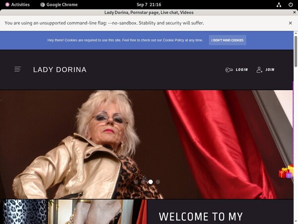 Lady Dorina Passwords 2019