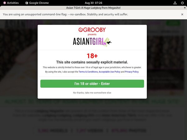 Ladyboy-ladyboy.com No Credit Card