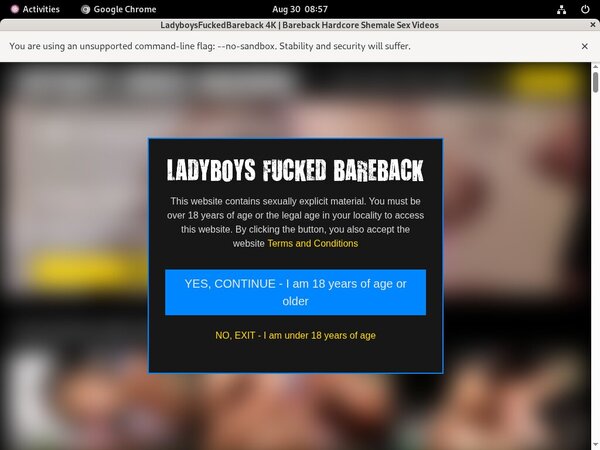 Ladyboysfuckedbareback.com Mp4 Ladyboysfuckedbareback.com Mp4