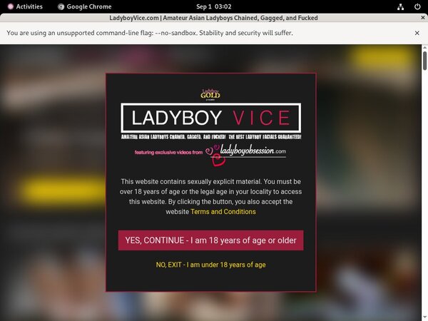 Ladyboyvice Account Membership Ladyboyvice Account Membership