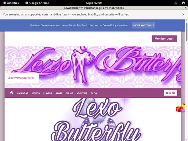 LeXO Butterfly Cheaper