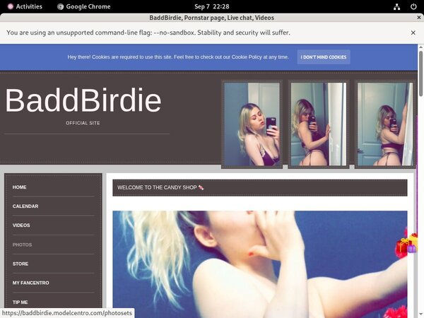 Login To BaddBirdie Free Login To BaddBirdie Free