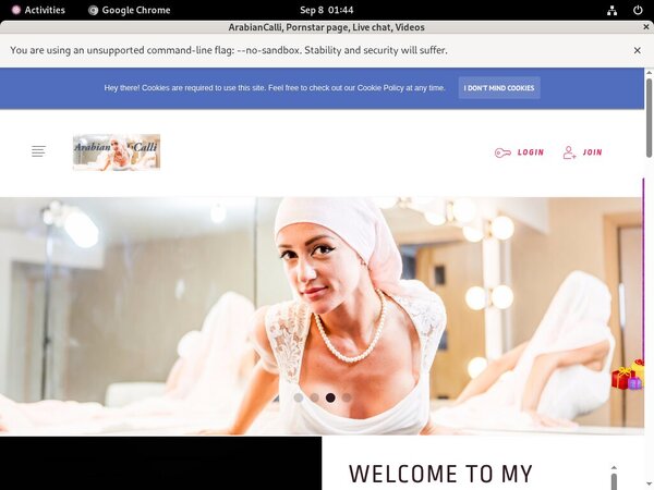 Logins For ArabianCalli Logins For ArabianCalli