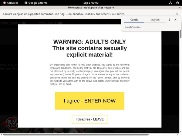 Mentalpass.com Discount Review