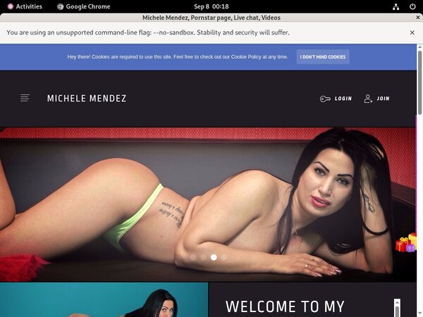 MicheleMendez Passwords Accounts MicheleMendez Passwords Accounts