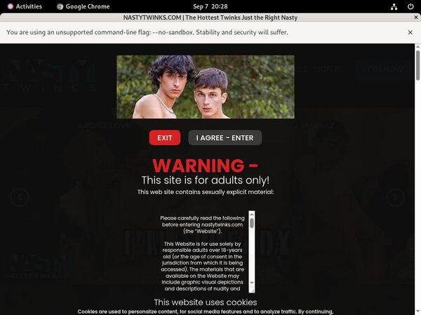 Nastytwinks.com Paysite