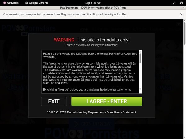 POV Pornstars Site Rip Download