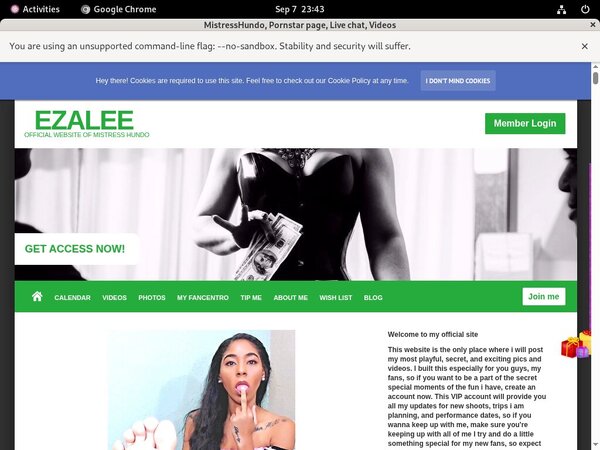 Paypal Signup MistressHundo Paypal Signup MistressHundo