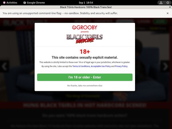 Premium Accounts Free Black TGirls Hardcore Premium Accounts Free Black TGirls Hardcore