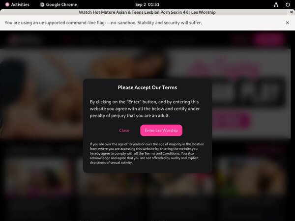 Premium Lesworship.com Site Rip