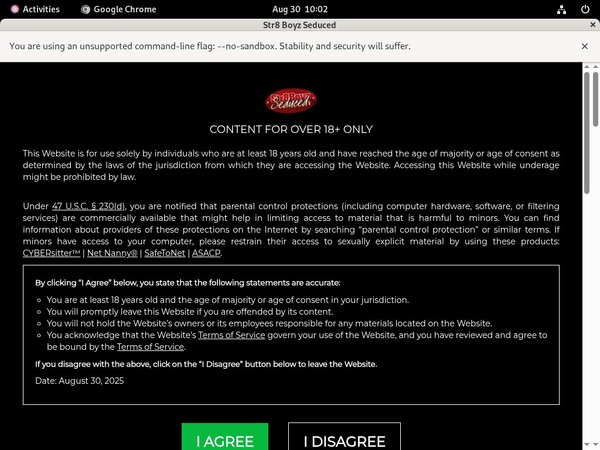 Seduced Boyz Str8 Site Rip Seduced Boyz Str8 Site Rip