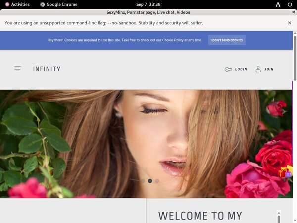 SexyMinx Working Account SexyMinx Working Account