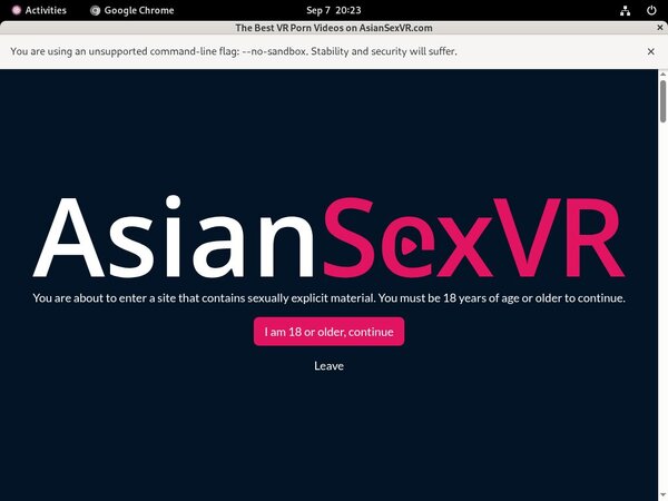 Site Rip Asiansexvr