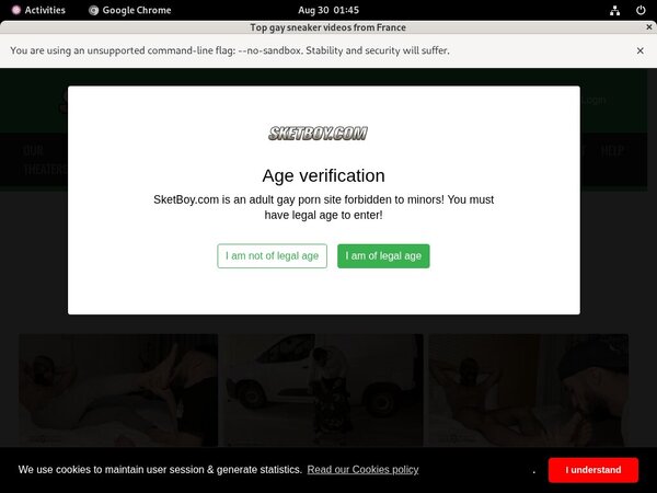 Sketboy.com Free Account Password