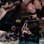 Subspaceland Trial Link