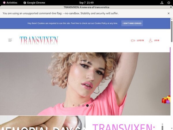 Transvixen.com Pay Site