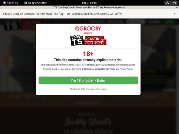 Ts-castingcouch.com Working Accounts Ts-castingcouch.com Working Accounts