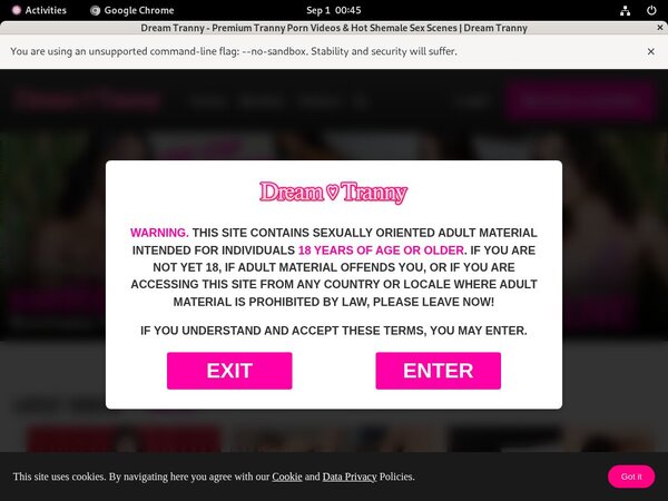 Dreamtranny All Videos