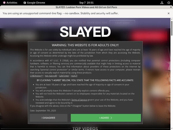 Accounts On Slayed.com