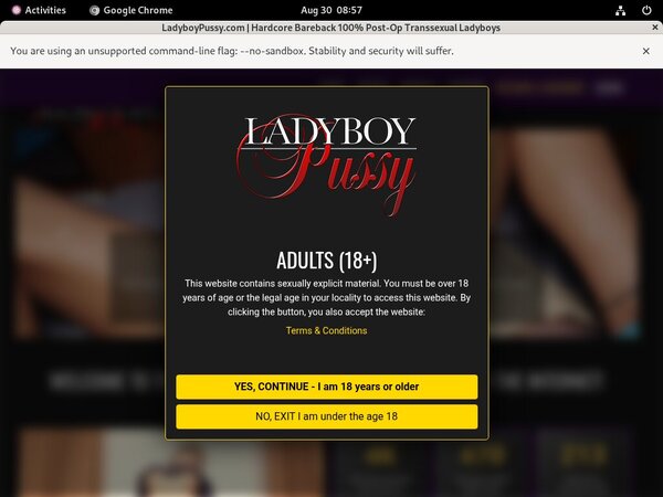 Ladyboy Pussy ????