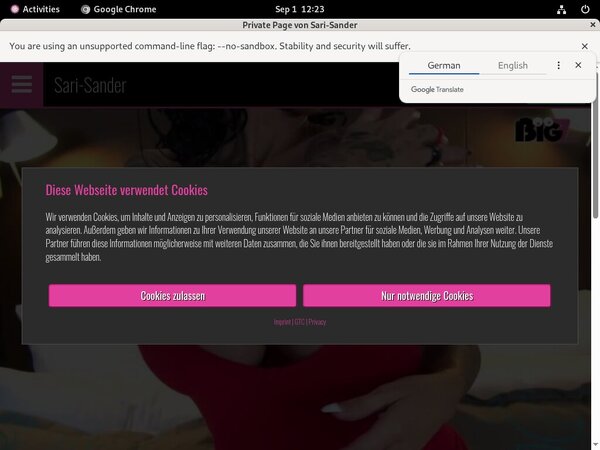 Sari-sander.com With Paypal Account